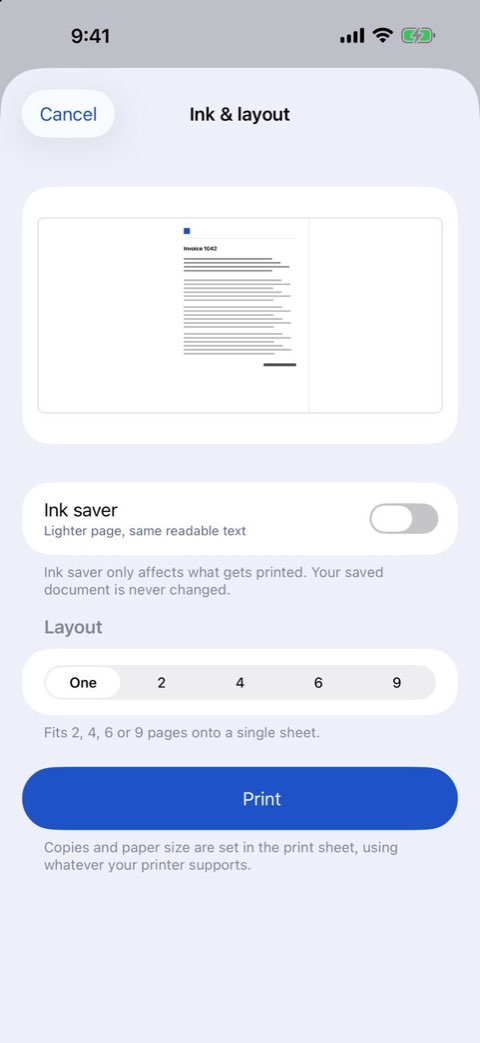 Ink and layout options for printing a document in Papiruno